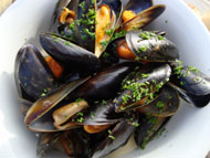 Freshly caught mussels